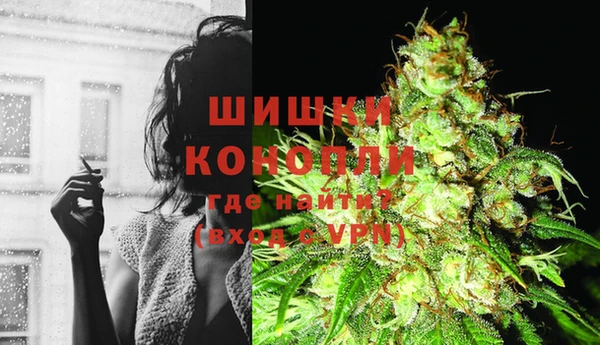 спайс Мегион