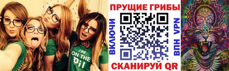 Галлюциногенные грибы Psilocybine cubensis  цена наркотик  blacksprut ССЫЛКА  Ставрополь 